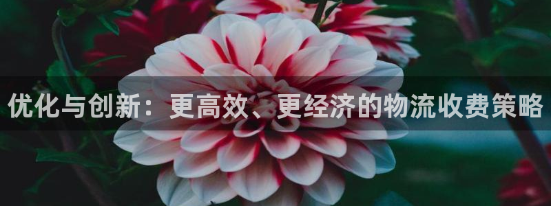 ,优游国际退款教程：优化与创新：更高