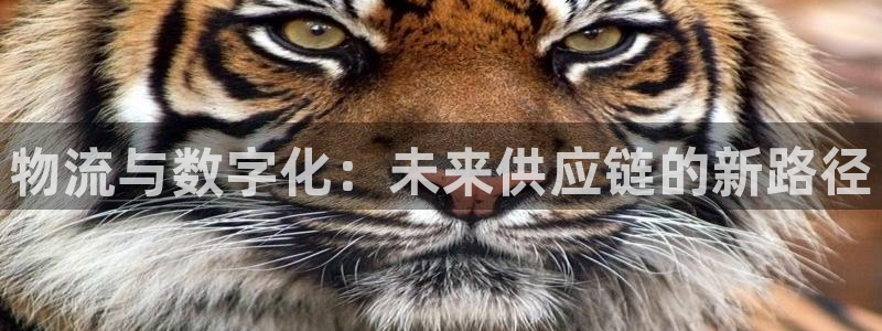 优游国际官网入口pc正版：物流与数字