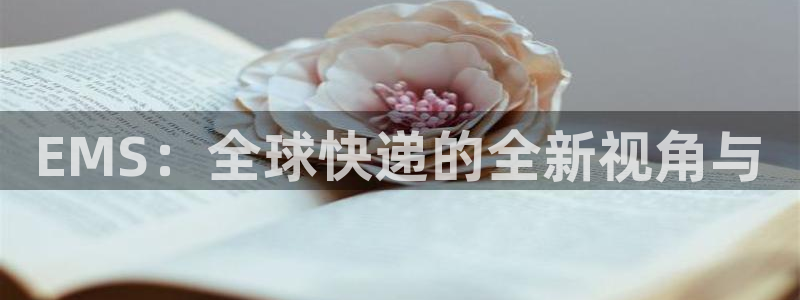 ,优游国际游戏：EMS：全球快递的全