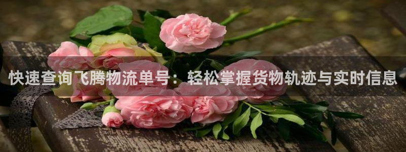 ,优游国际最稳打法：快速查询飞腾物流
