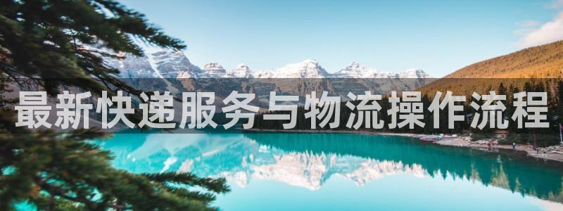 ,优游国际充值不到账：最新快递服务与