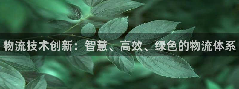 ,优游国际电子