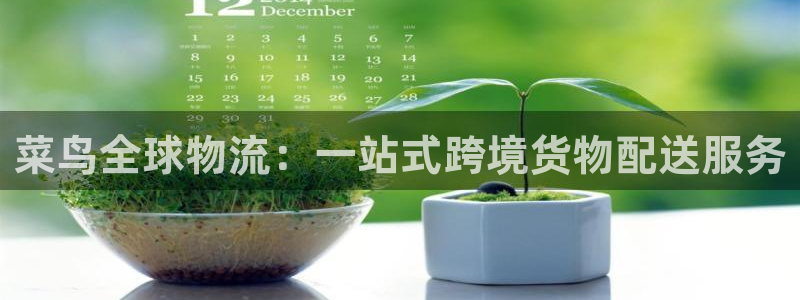 优游国际官网入口pc29官网版下载：