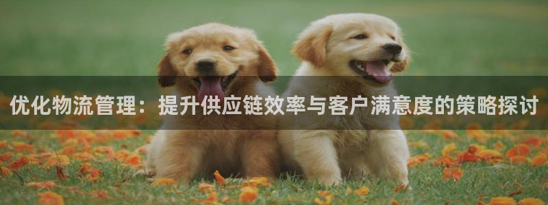 ,优游国际模拟器在线玩：优化物流管理：提升供应链效率与客户满