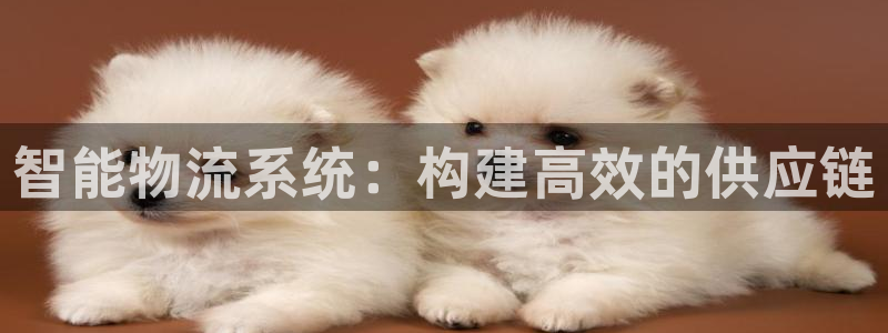 ,优游国际初始密码在哪里修改的：智能