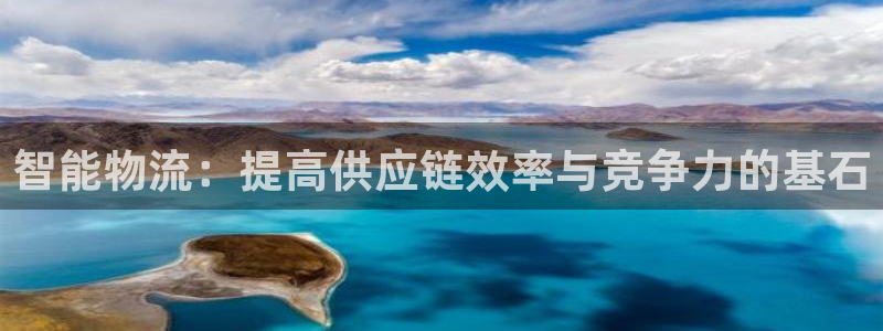 ,优游国际黑平台吗：智能物流：提高供