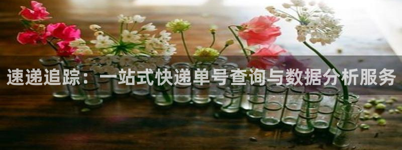 ,优游国际加拿大28