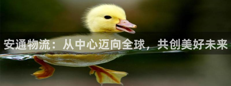 南宫,优游国际官网版：安通物流：从中