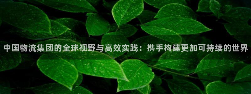 ,优游国际麻将：中国物流集团的全球视