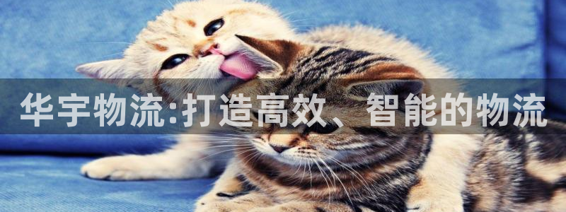 ,优游国际反水什么时候到