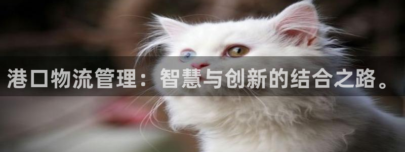 ,优游国际加拿大真假怎么看：港口物流
