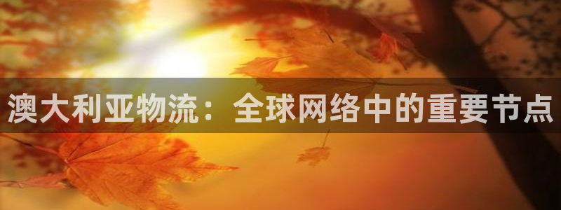 ,优游国际链接是什么：澳大利亚物流：