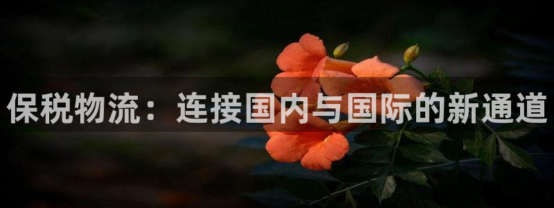 优游国际官网下载谁有：保税物流：连接国内与国际的新通道