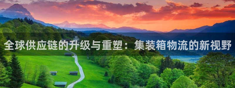 ,优游国际注册官网：全球供应链的升级与重塑：集装箱物流的新视