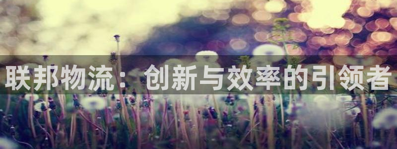 ,优游国际注册地址:联邦物流:创新与