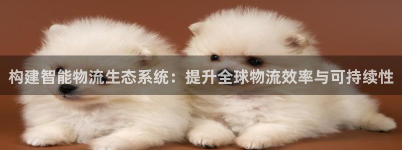 ,优游国际黑平台吗:构建智能物流生态