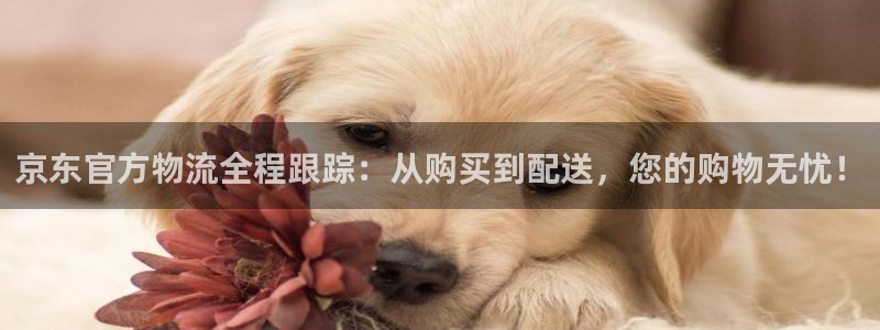 ,优游国际体育下载