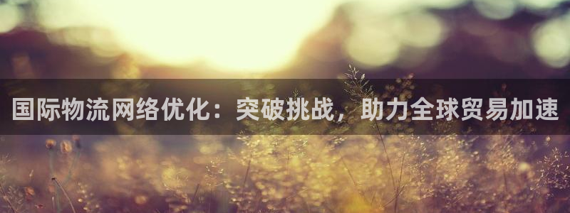 ,优游国际怎么下载教程:国际物流网络