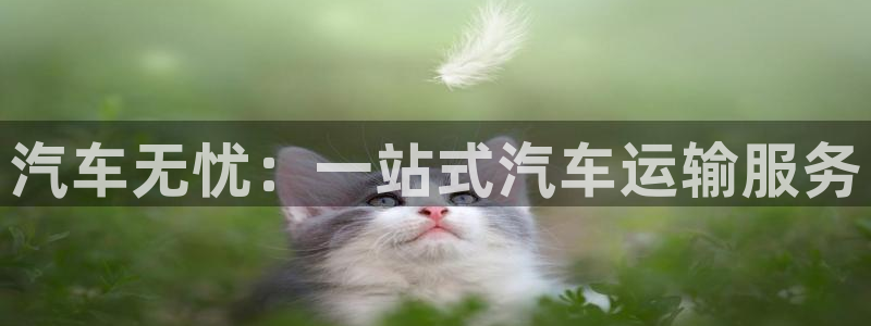 优游国际官网入口pc29官网版下载