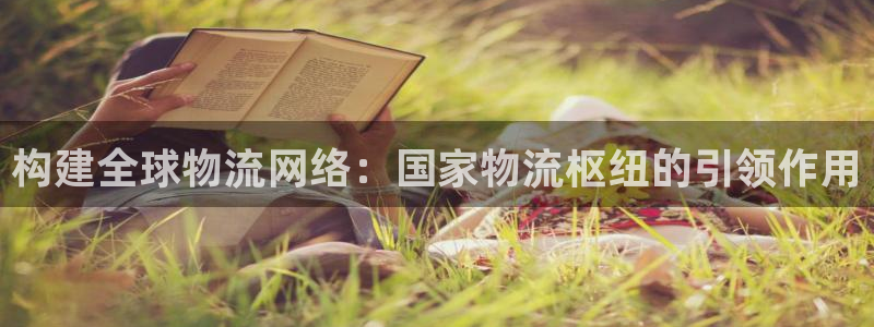 ,优游国际赌博软件正规吗:构建全球物