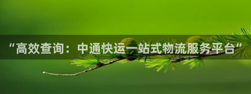 ,优游国际麻将胡了