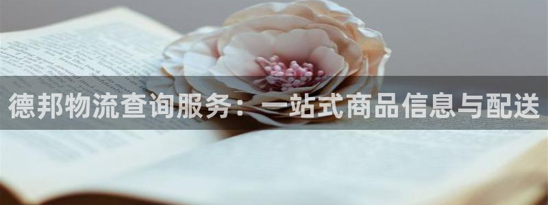 优游国际注册链接:德邦物流查询服务: