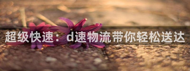 ,优游国际官网链接:超级快速:d速物