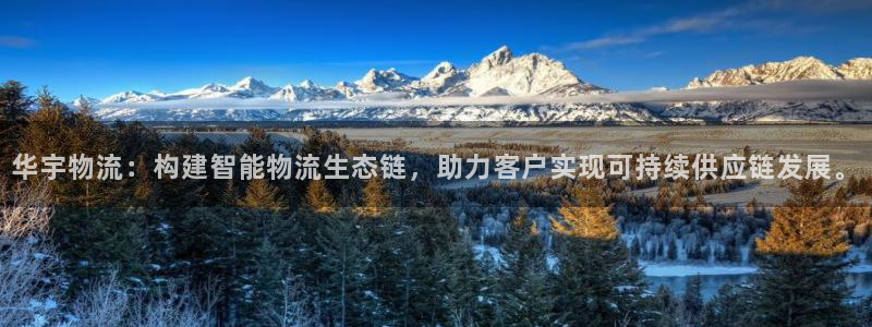 ,优游国际怎么注册：华宇物流：构建智